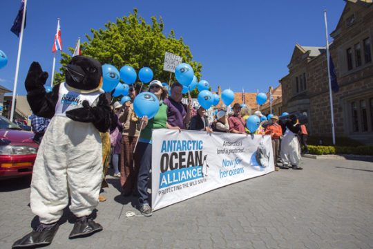 Umweltschützer vor dem CCAMLR-Treffen in Hobart