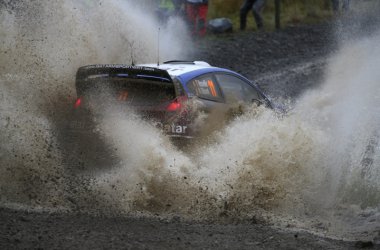 Rallye Wales 2013: Thierry Neuville im Ford Fiesta WRC