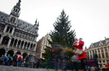 Weihnachtsbaum aus Ostbelgien in Brüssel