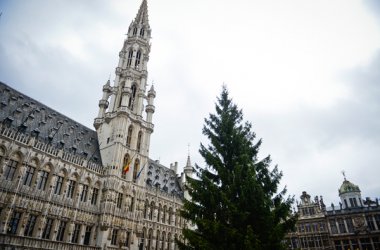 Weihnachtsbaum aus Ostgbelgien in Brüssel