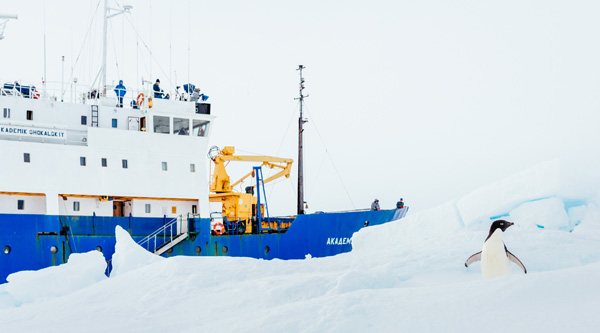 Die "MV Akademik Shokalskiy" sitzt seit dem 1. Weihnachtstag im Eis der Antarktis fest