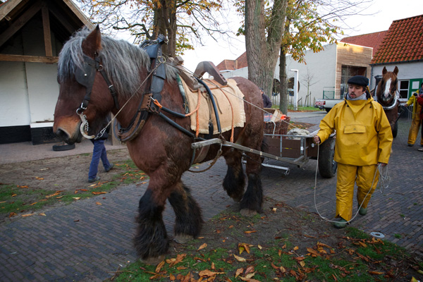 Fischer mit Arbeitspferd