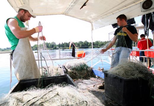 Festlegung der Fischquoten - Ende offen
