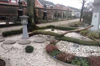 Sturmtief "Dirk" knickt Baum auf dem Eupener Friedhof um