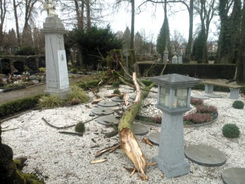Sturmtief "Dirk" knickt Baum auf dem Eupener Friedhof um
