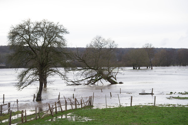 Überschwemmung in Han-sur-Lesse (25.12.)