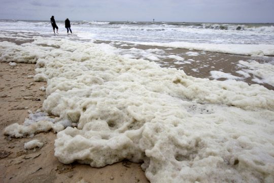 Belgische Küste - Knokke (Juni 2013)