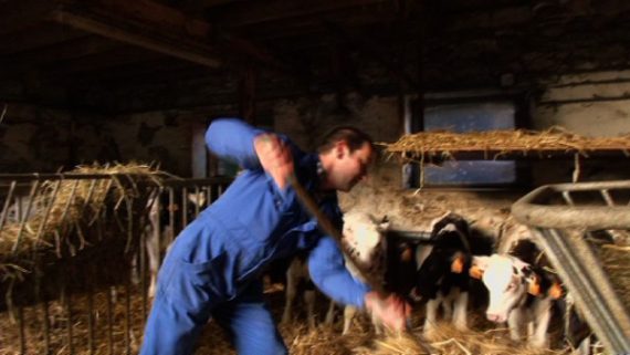 Landwirt Vincent Brandt