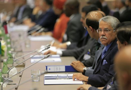 Saudi-Arabiens Ölminister Ali Naimi bei der Opec-Sitzung in Wien