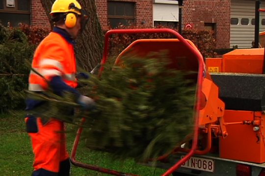 Lontzener Gemeindemitarbeiter sammeln Weihnachtsbäume ein