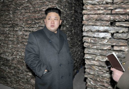 Nordkoreas Machthaber Kim Jong Un