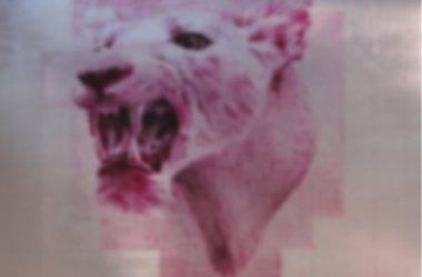 Pink Lionne von Marcel Berlanger