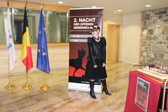 Die Katze, das Motiv der Nacht der Offenen Gemeinschaft