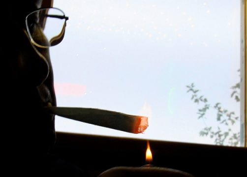 Illustrationsbild: Cannabis