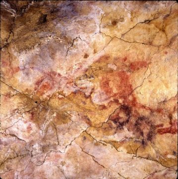 Teil der Decke in der Altamira-Höhle im Norden Spaniens