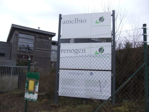 Das Biomasse-Heizkraftwerk Renogen auf Kaiserbaracke