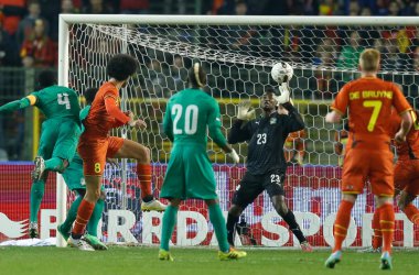 Belgien vs. Elfenbeinküste - Marouane Fellaini trifft zum 1:0 (Foto: Bruno Fahy/BELGA)