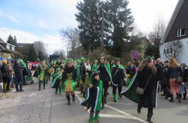Karnevalsumzug in Bütgenbach 2014