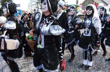 Karnevalsumzug in Deidenberg 2014