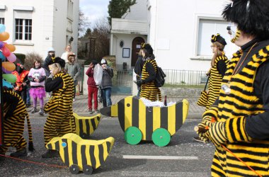 Rosenmontagszug in Eupen 2014