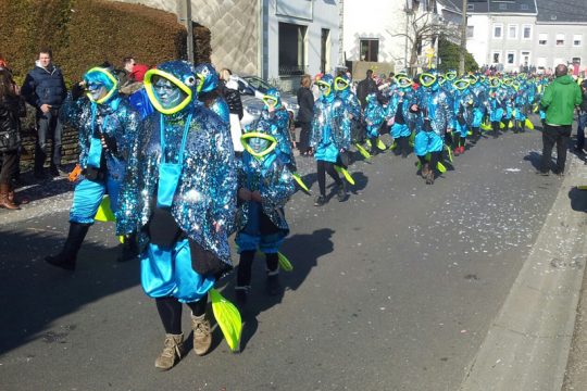 Karnevalsumzug in Raeren 2014
