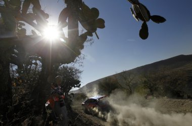 Rallye Mexiko: Shakedown - Thierry Neuville im Hyundai i20 WRC