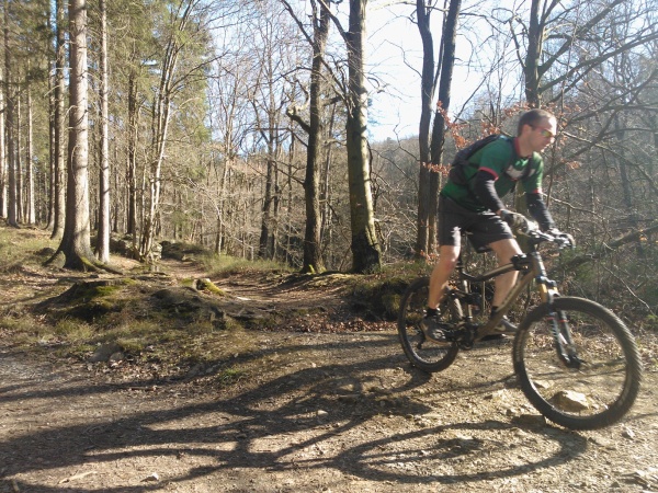 Die Sonne im Eupener Wald erfreut die Biker