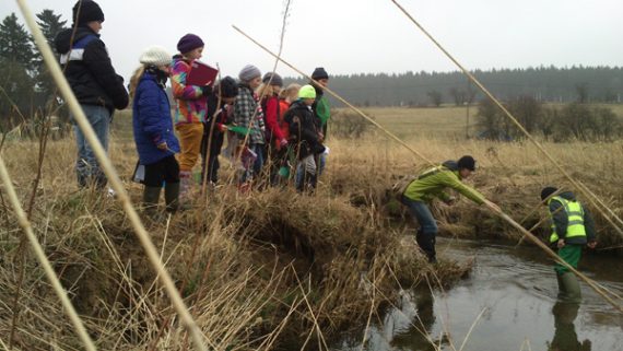 Woche des Wassers - Büllinger Primarschüler untersuchen das Wasser der Warche