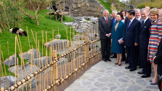 Der chinesische Staatspräsident Xi besucht den Tierpark Pairi Daiza