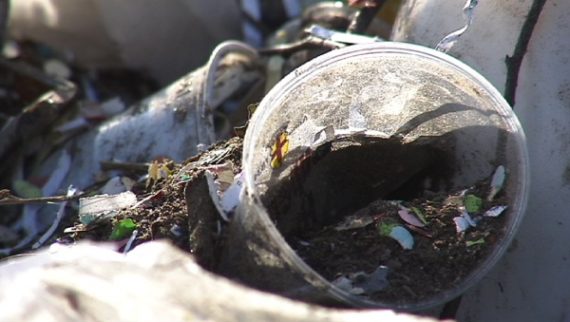 Nach Karneval: Großes Reinemachen in Eupen