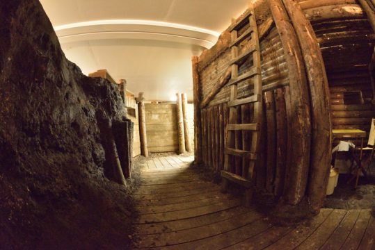 1914 war ich 20: Ausstellung über den Ersten Weltkrieg