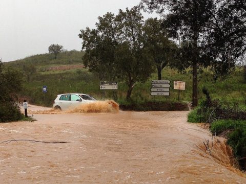 Rallye Portugal: Andreas Mikkelsen (Volkswagen motorsport II) lernt schwimmen