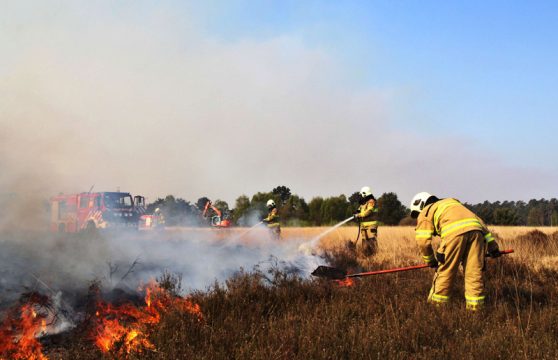 Brand im niederländischen Nationalpark "Hoge Veluwe"