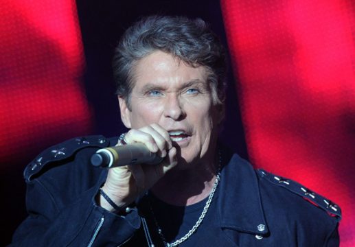 David Hasselhoff will die digitale Freiheit retten (Bild vom 20.2.2011)