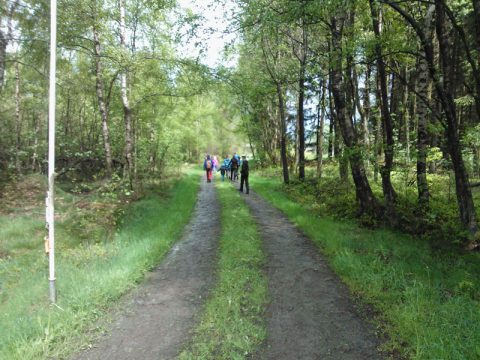 850 Besucher im Truppenübungsplatz Elsenborn