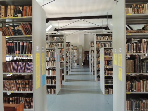 Staatsarchiv tritt Media DG bei