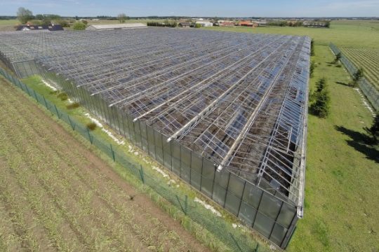 Gewächshäuser durch Hagelkörner zerstört (Wingene, Westflandern)