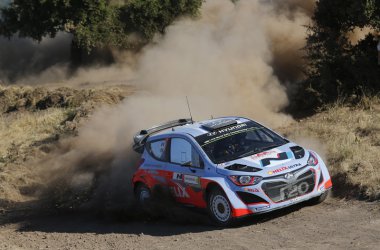 Nach dem Defekt kam Thierry Neuville nur auf Rang 16