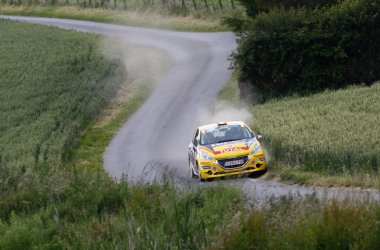 Ypern-Rallye. Gino Bux im Peugeot 208 R2 - Ypern-Rallye: RACB-Coach Marc Duez mit Pieter Tsjoen - Foto: Gregory Lenormand/DPPI