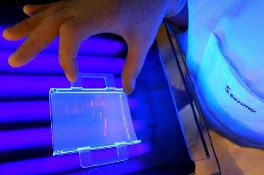 Wissenschaftler untersucht DNA (Illustrationsbild)