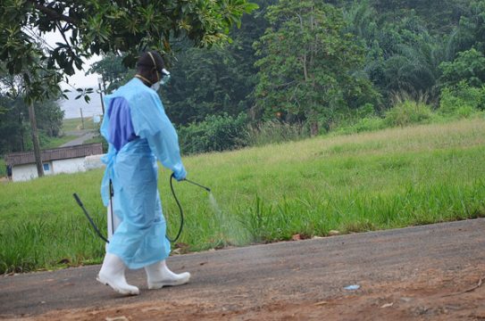 Ebola-Epidemie: Krankenhaus-Mitarbeiter desinfiziert den Boden der Klinik von Monrovia (24. Juli)