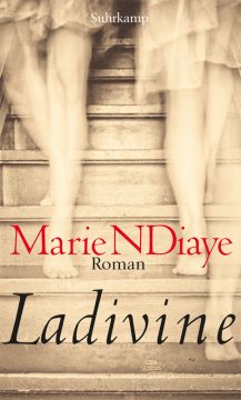 Marie NDiaye: Ladivine