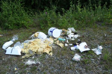 Müll in Waldgebiet: Archiv-Bild