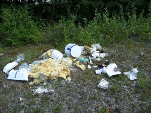 Müll in Waldgebiet: Archiv-Bild