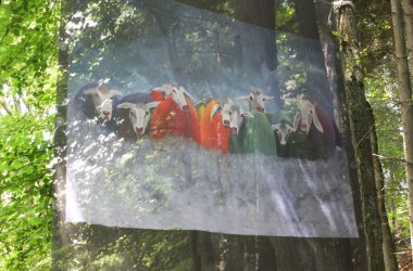 Kunstprojekt "N'art'urelle" am See von Robertville