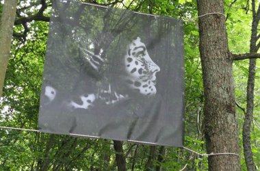 Kunstprojekt "N'art'urelle" am See von Robertville