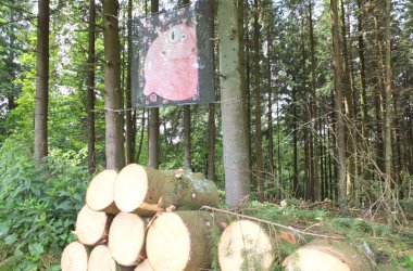 Kunstprojekt "N'art'urelle" am See von Robertville