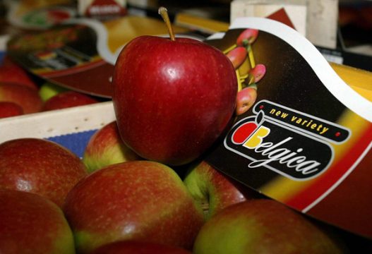 Äpfel aus Belgien
