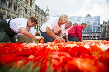 600.000 Begonien: Blumenteppich auf der Grand'Place in Brüssel