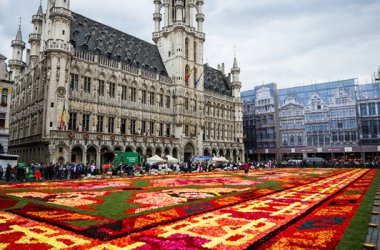 600.000 Begonien: Blumenteppich auf der Grand'Place in Brüssel